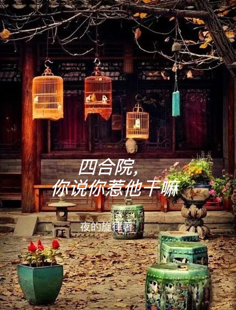 四合院，你说你惹他干嘛