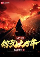 NPC的综武大世界